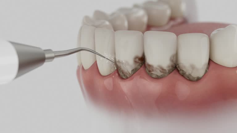Reliable Dental contractor in Gallatin, TN by Dentist Open Now